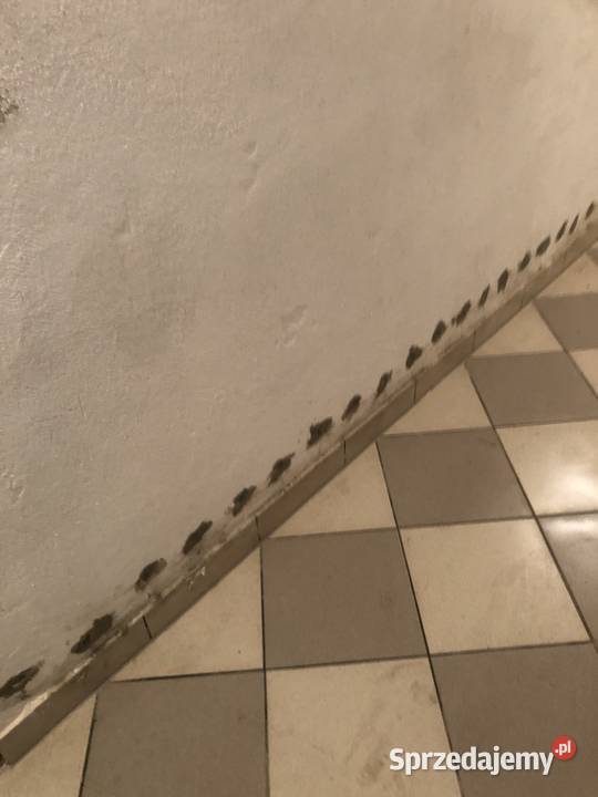 Iniekcja Krystaliczna podciąganie kapilarne Gdańsk