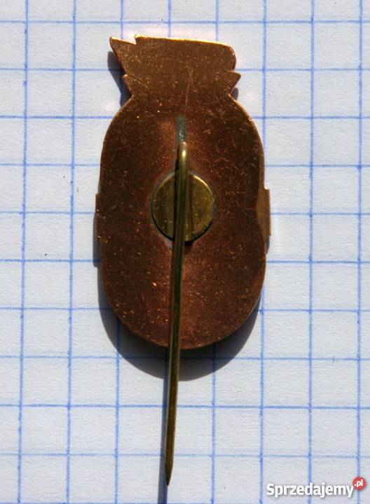 BRĄZOWA ODZNAKA ZE SPARTAKIADY MŁODZIEŻY Piszczac