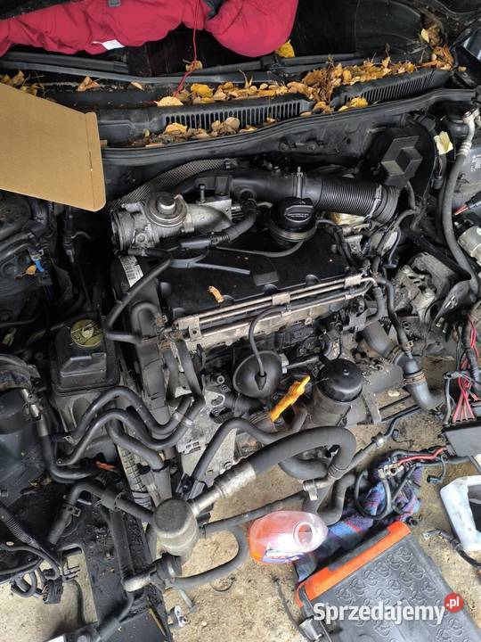 Części Golf 4 19tdi 2005r Grójec