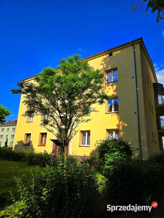 sprzedaży mieszkania Katowice Kłodnicka 385m2 2