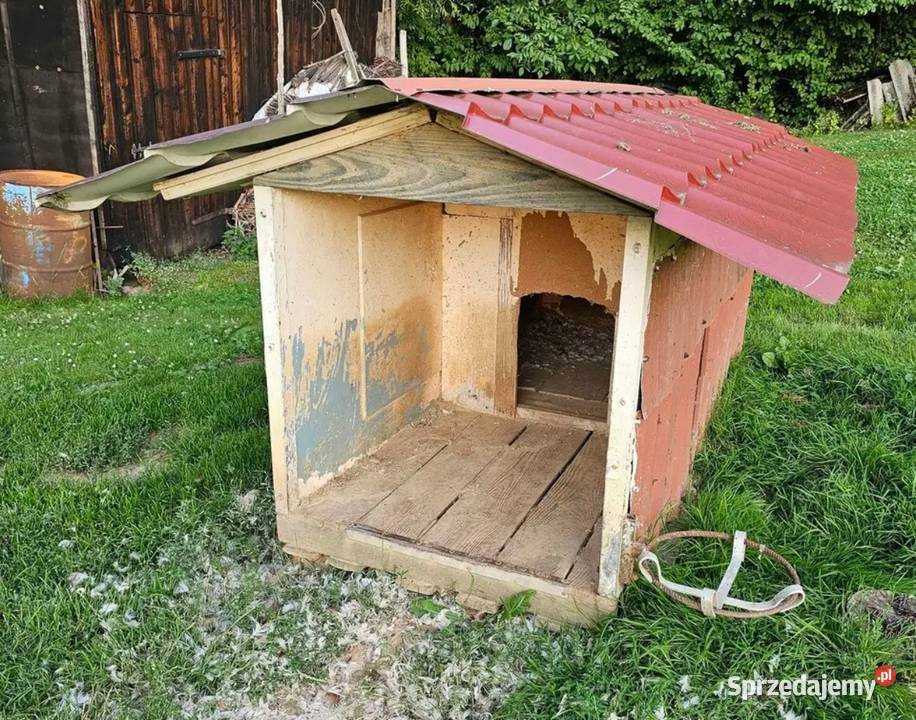 Buda psa Sędziszów Małopolski sprzedam