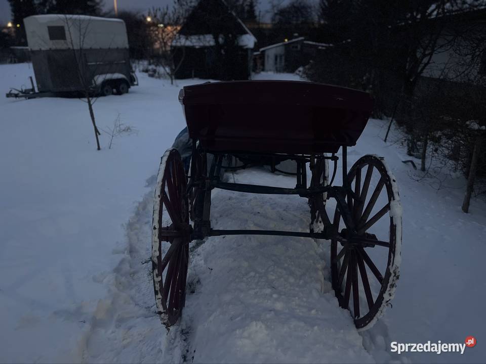 Sprzedam wagonetkdorożkę możliwy transport Piotrków Trybunalski