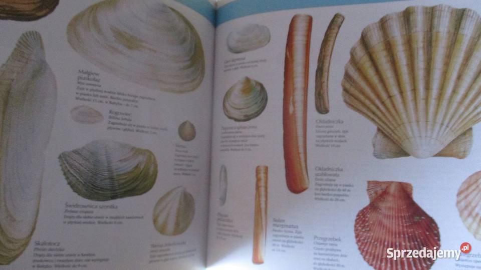 Ziemia Rośliny Zwierzęta LarousseNasza przyroda łódzkie Łódź