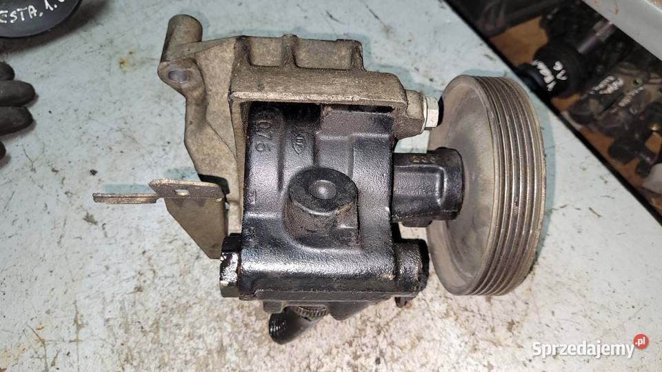 Pompa wspomagania Renault 19 18 osobowe mazowieckie Łagów sprzedam