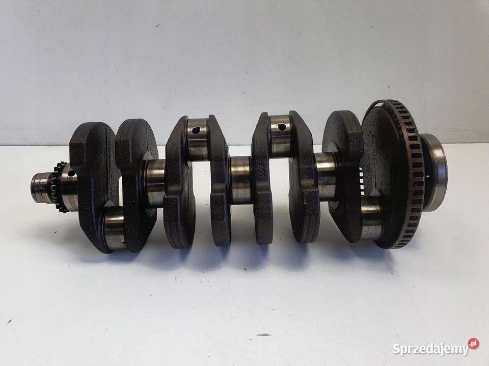 Skoda Octavia II 20 FSI WAŁ KORBOWY 8DA50859 Blok silnika Rudka