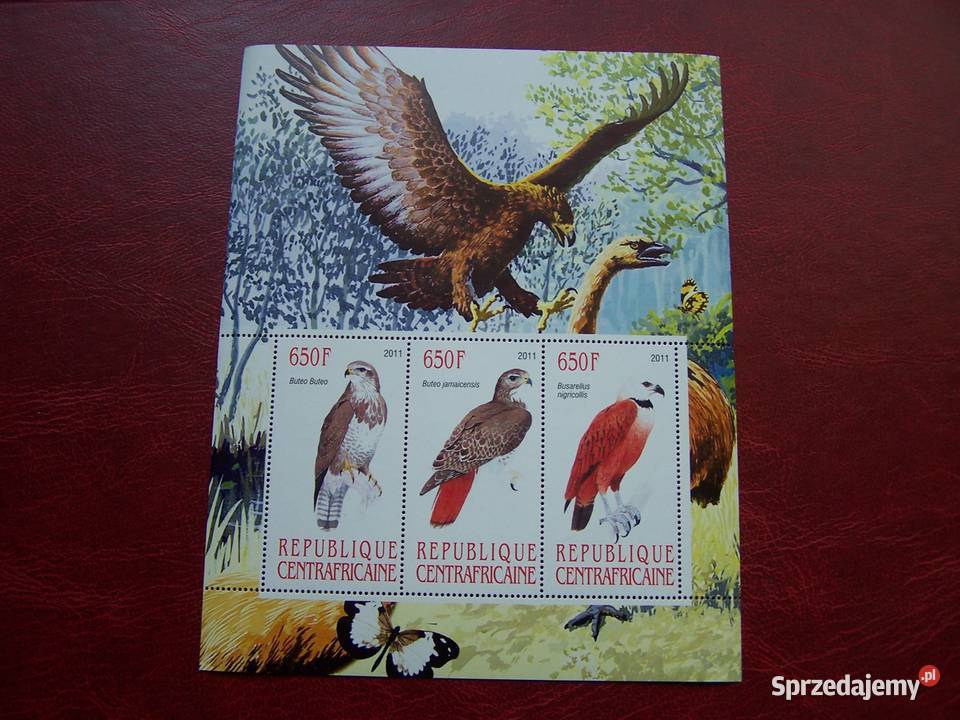 Centralna Afryka 2011 MNH Fauna Ptaki drapieżne śląskie Tychy