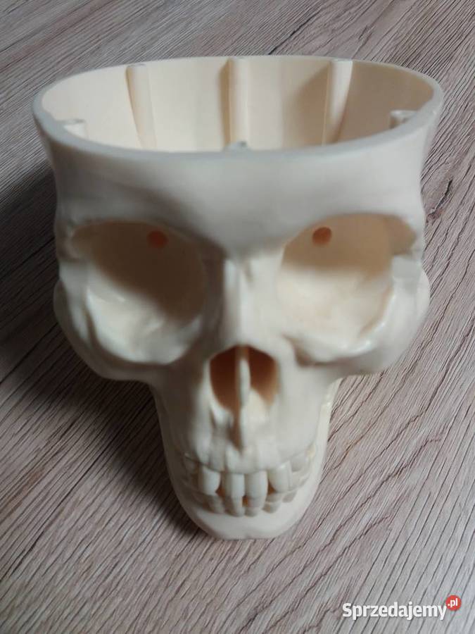 Tajemnice ludzkiego ciała kolekcja DeAgostini II Cieszyn