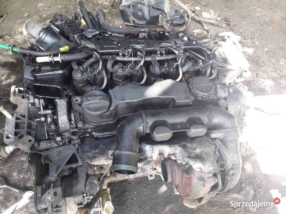 volvo v50 20d skóra w calosci na czesci 20cm3 Samochody osobowe