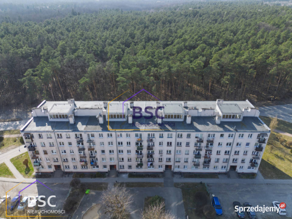 Ogłoszenie mieszkanie Pionki Kozienicka 5713m2 3