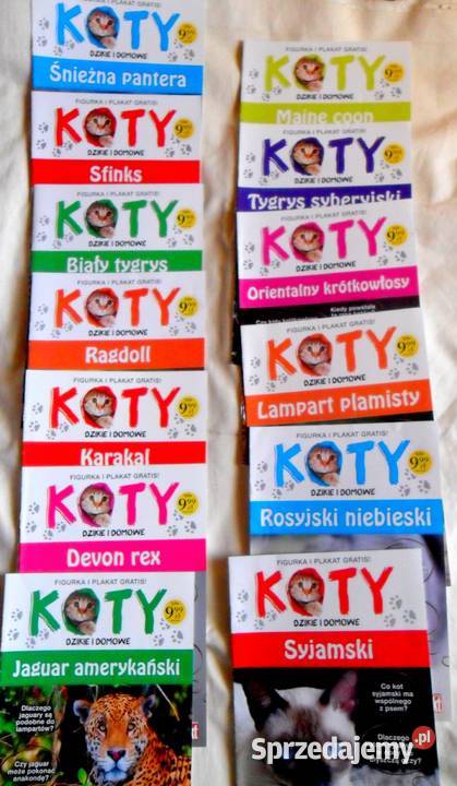Koty Zestaw czasopism i figurek