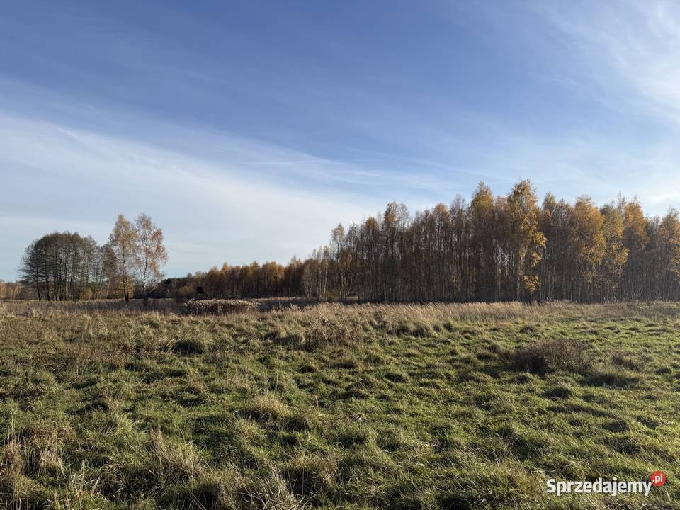 Działka rolna 1300m Wieluń