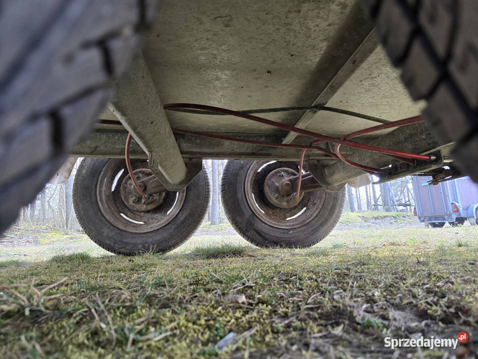 Przyczepa do przewozu koni zwierząt PONGRATZ PA Rok produkcji 1993 Korpele