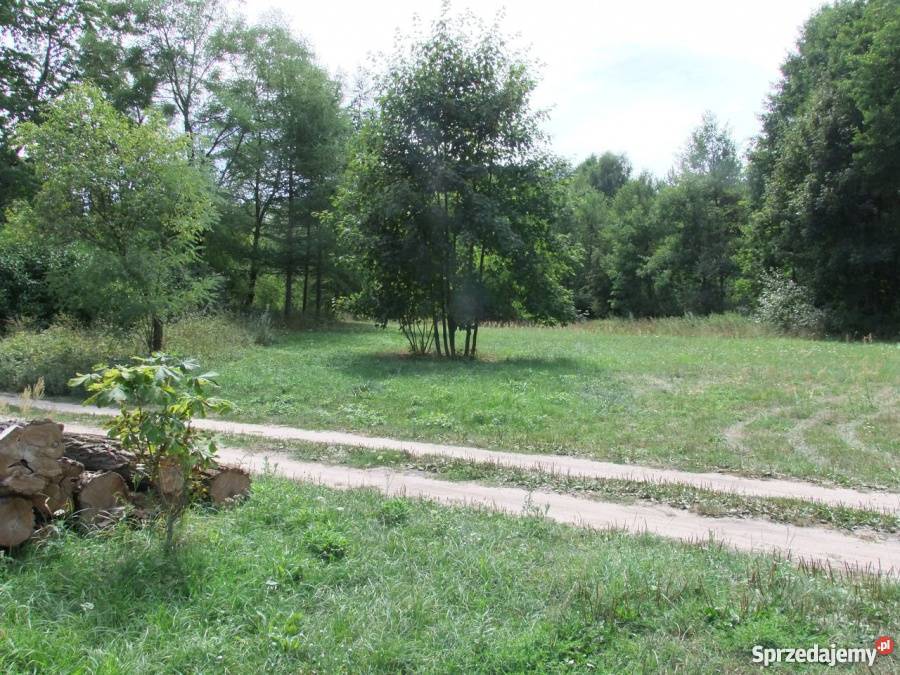 Piękna działka we wsi Kosyń gmina Wola Uhruska budowlana