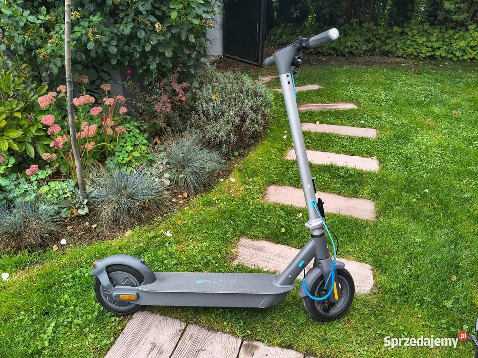 Motus Scooty 10 hulajnoga 350W 15Ah zasięg 60 Hulajnogi elektryczne Hulajnogi elektryczne Kozy