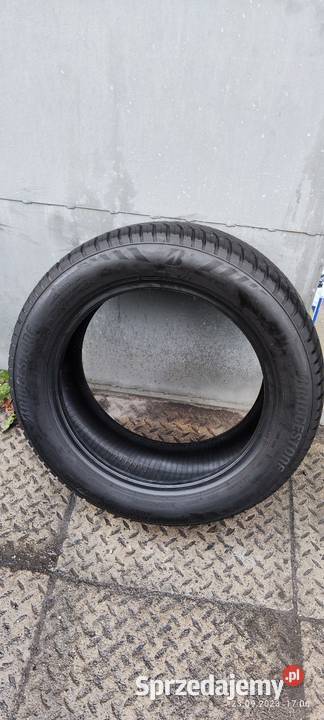 Pojedynka 2055516 dot 2020 zima Zwoleń