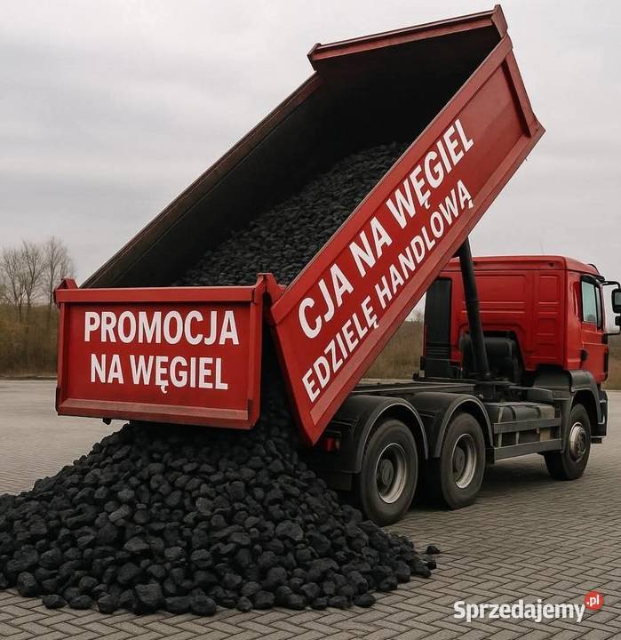 Wysokiej jakości Polski węgiel w Sosnowiec i śląskie