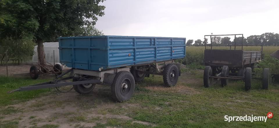 Przyczepa d50 wielkopolskie Szczury