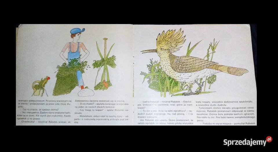 Sami ogrodnicy Maria Terlikowska Chełm