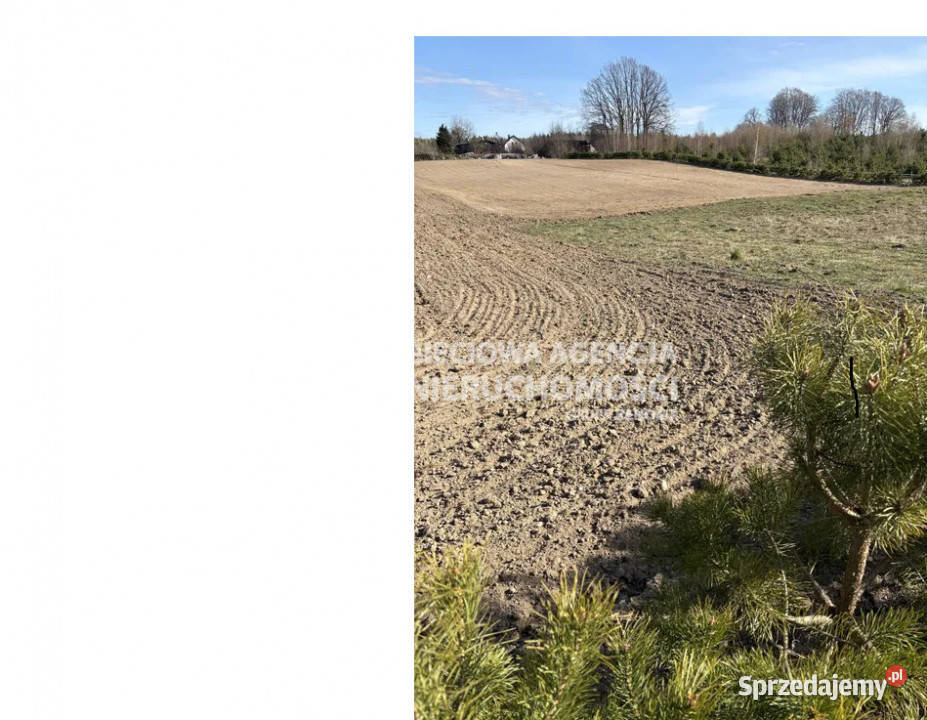 Grunt na sprzedaż Grabowiec 1009m2