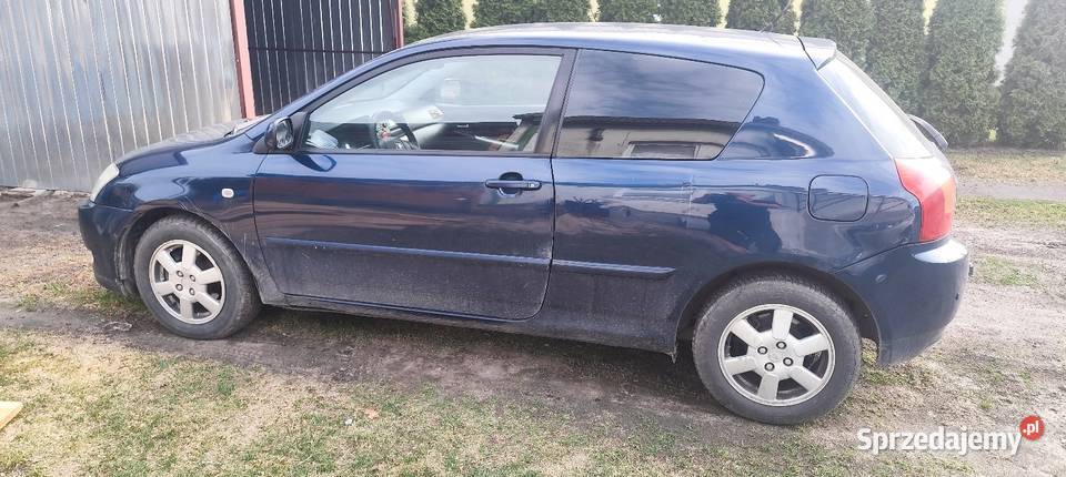 Tośka na sprzedarz Siedliszcze-Osada sprzedam