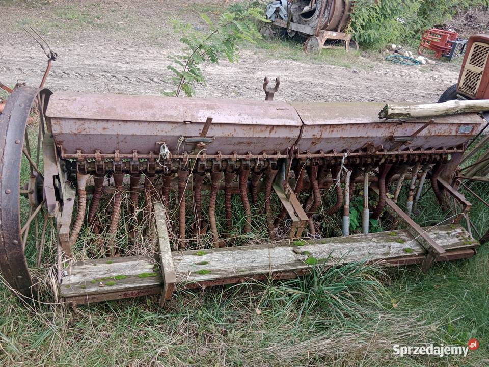 Siewnik Accord sprzedam