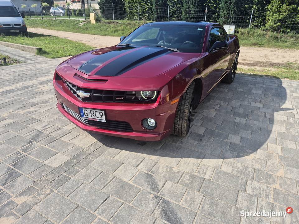 Chevrolet Camaro SS 62 pomorskie Sulmin