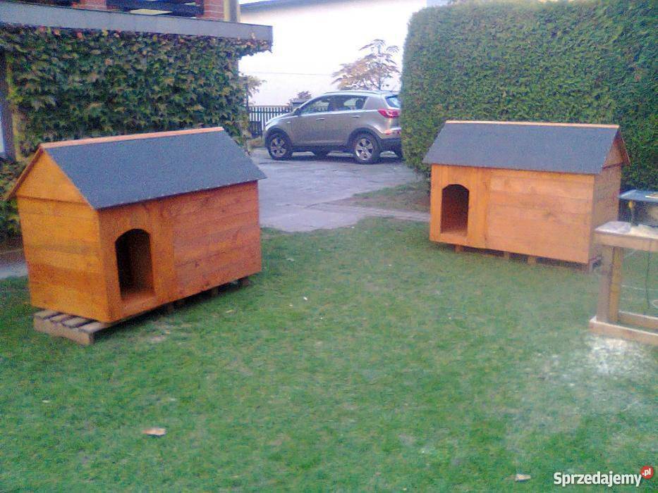 mega duża buda psa dwóch psów ocieplona z Pszczyna sprzedam