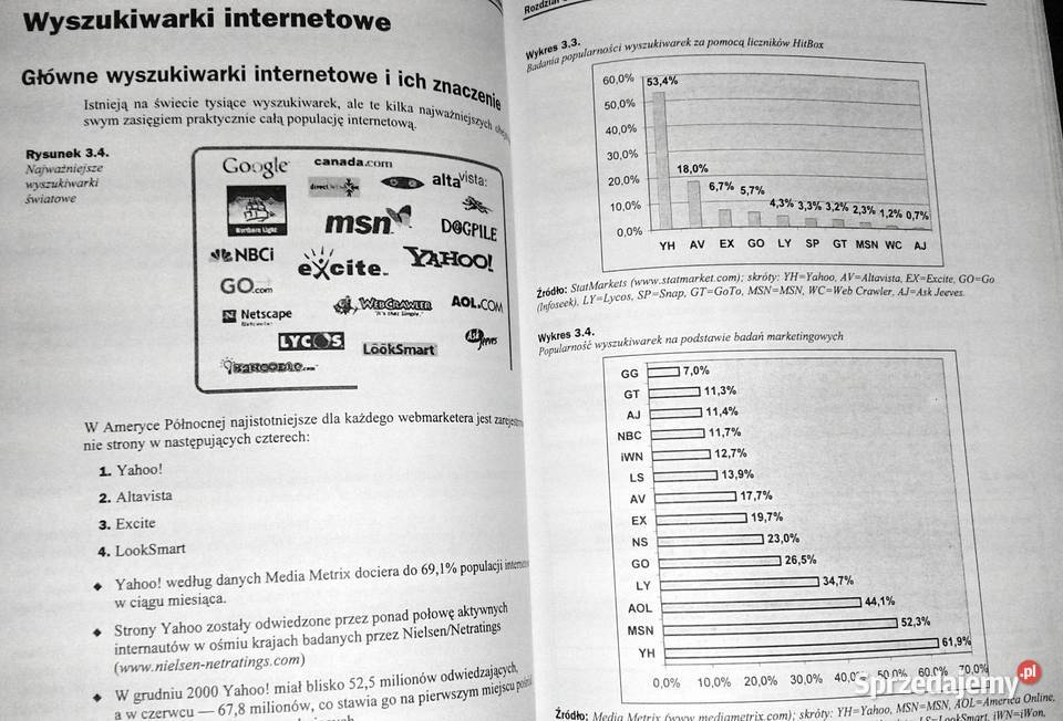 Marketing w internecie Strategie małych i dużych miękka sprzedam