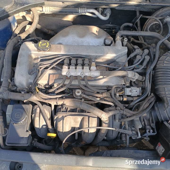 Silnik Ford 18 16V CGBA CGBB Benzyna Silniki kompletne sprzedam