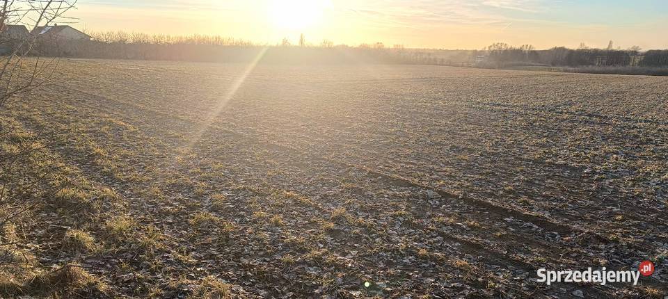 Działka budowlana 10arBrzezie gmBabiakwydane WZ Brzezie