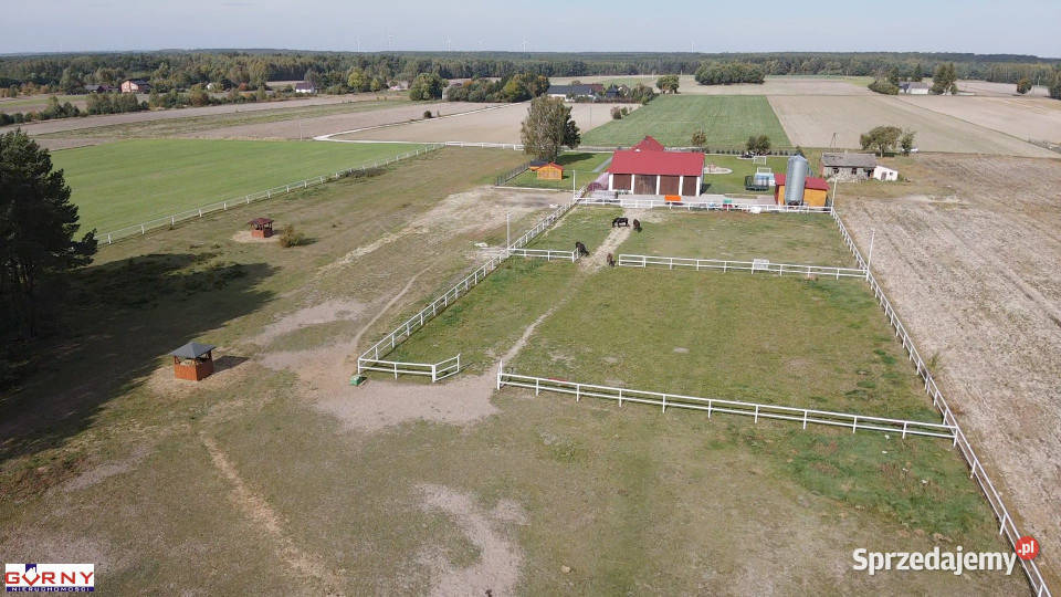 sprzedaży lokalu Marianek 21000m2 22000m2