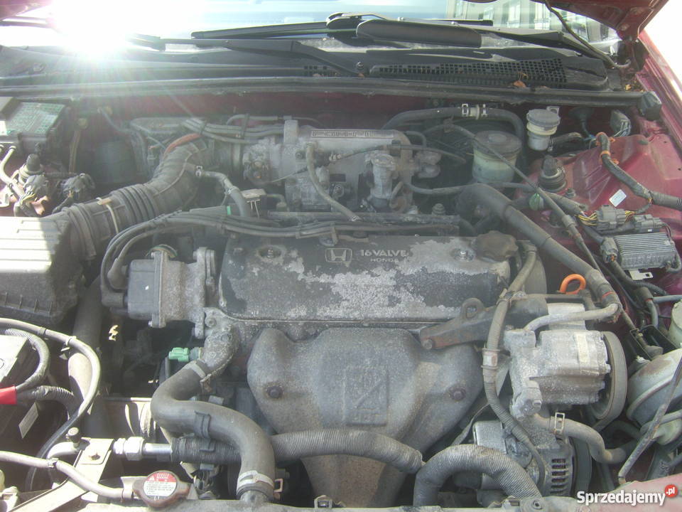 honda accord 4 gen 22 usa canada sprowadzony Accord Wrocław