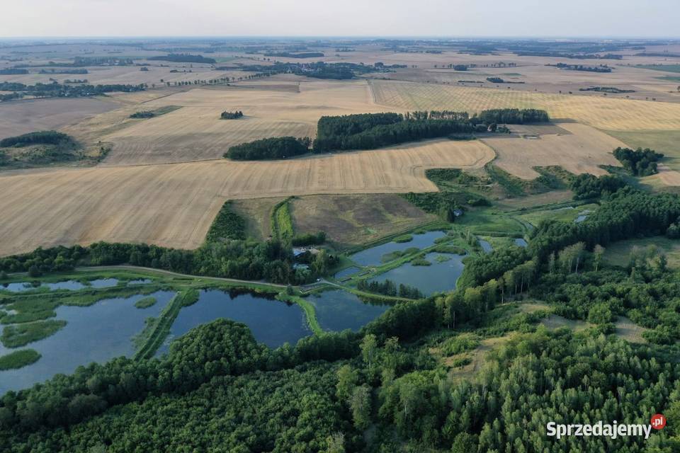 Na sprzedaż 235 ha prywatnej enklawy ze stawami Sprzedaż Róża Wielka sprzedam