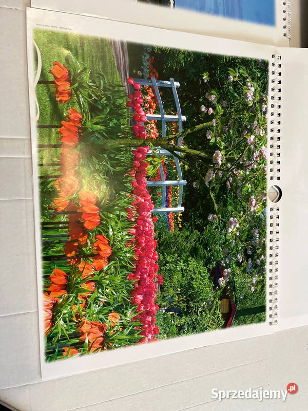 Fototapeta flizelinowe czerwone róże prezent śląskie Bielsko-Biała