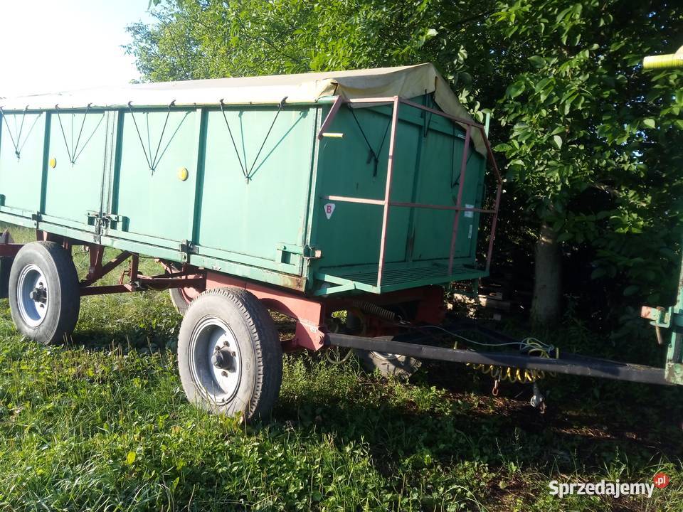 Przyczepa d46 8t pszenicy Chocznia sprzedam