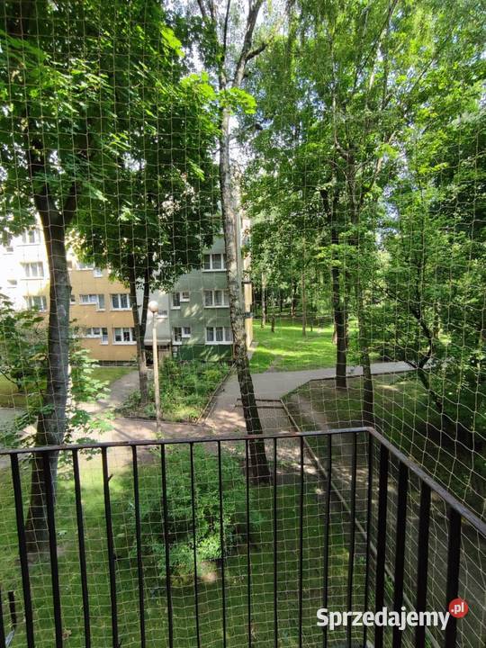 Mieszkanie 2 pokojowe dwupokojowe 1piętro 35m Liczba pokoi 2 Lublin