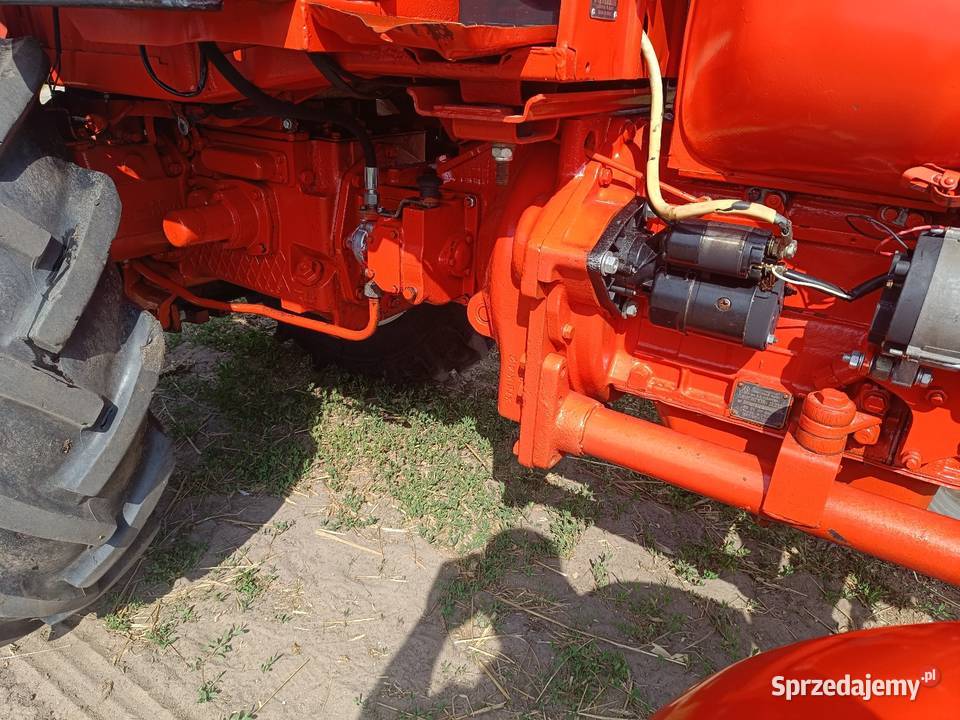 Sprzedam t25 mazowieckie Gózd