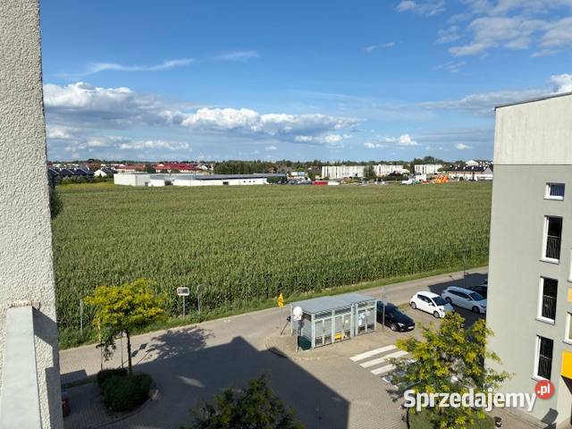 2pokojowe mieszkanie na sprzedaż w Zalasewie wielkopolskie Zalasewo sprzedam