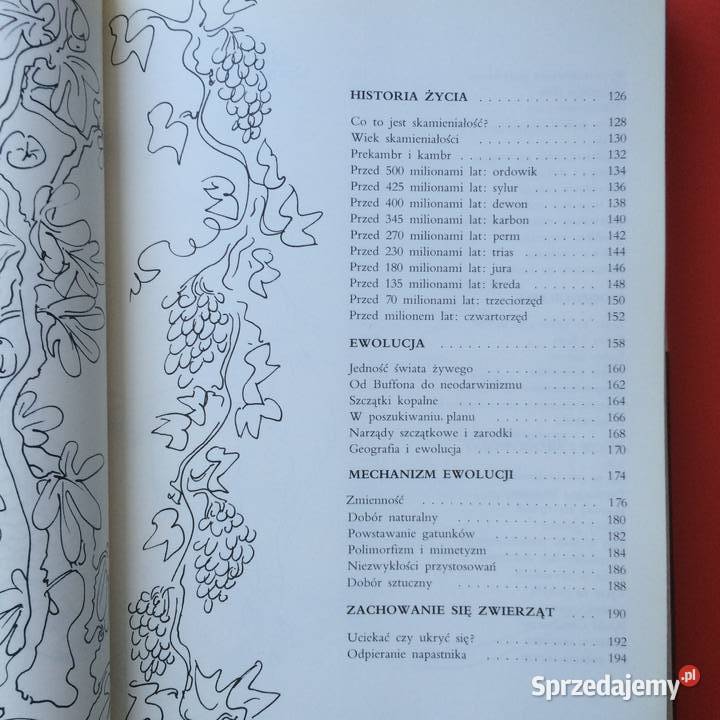 2582 Encyklopedia Larousse Szczecin