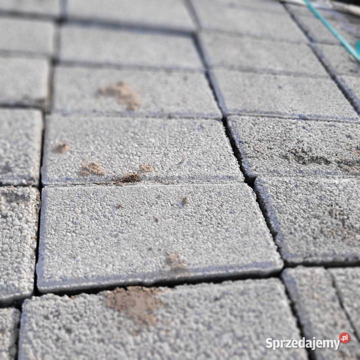 Kostka brukowa szlachta 33 Hryniewicze
