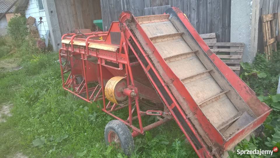 Sortownik do ziemniaków rosyjski Pacanów