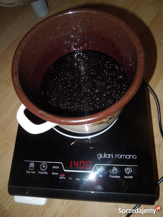 Kuchenka indukcyjna Giuliani Romano GR10008 Gorzów Wielkopolski