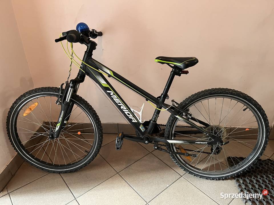 Merida Champion Matts