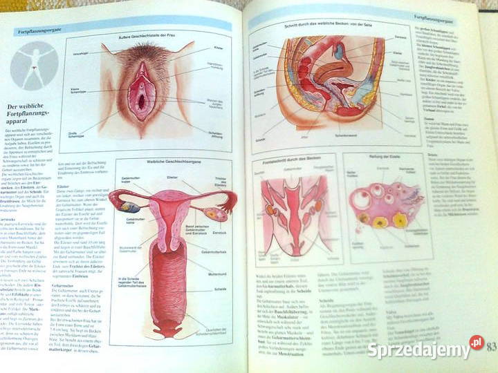 Die faszinierende Welt der ANATOMIE Rok wydania 1991