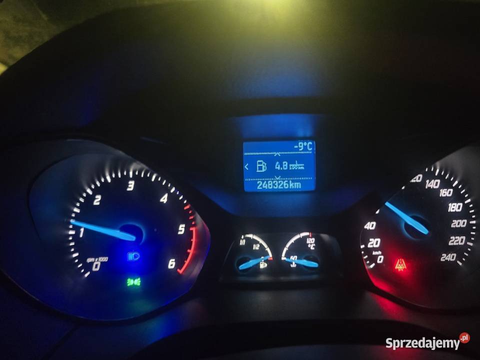 Forda Focus Zarejestrowany w Polsce Drezdenko