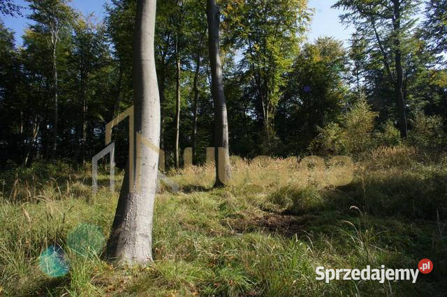 Działki jeziorem Dobra Nowogardzka sprzedam