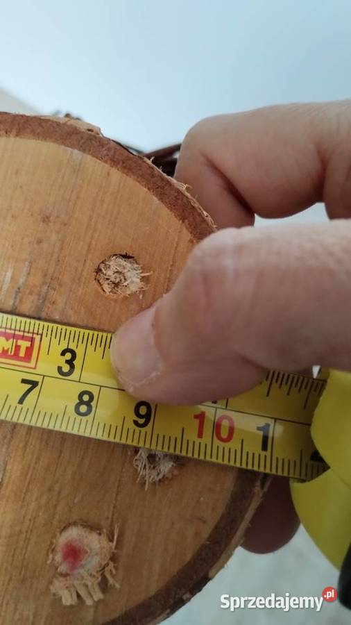 koszyk koszyczek Poznań