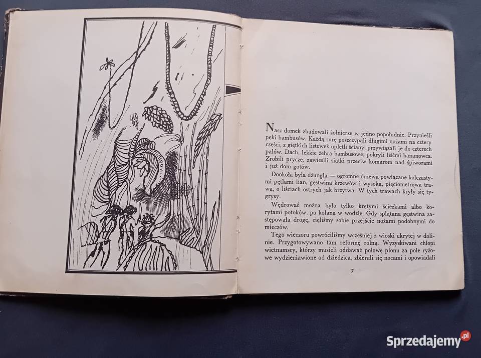 Wojciech Żukrowski Ognisko w dżungli Bajki Koźminek sprzedam