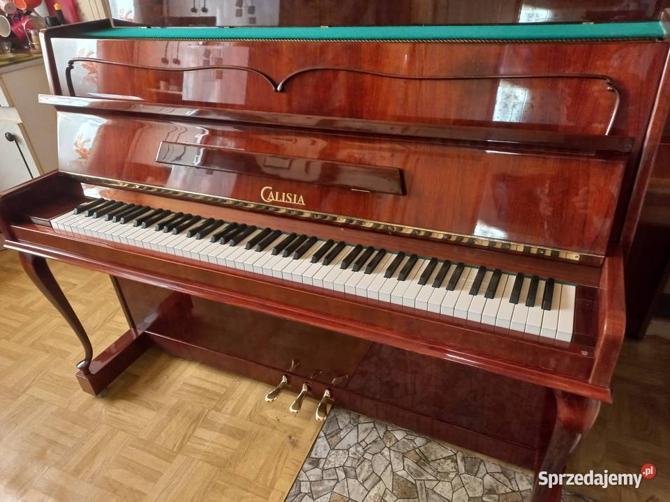 Pianino Calisia model Chippendalle stan nowe