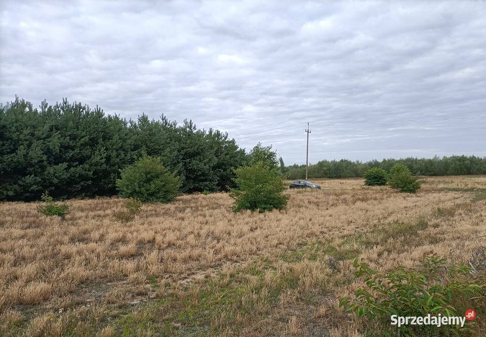 Działki rekreacyjne z widokiem na zalew Sprzedaż